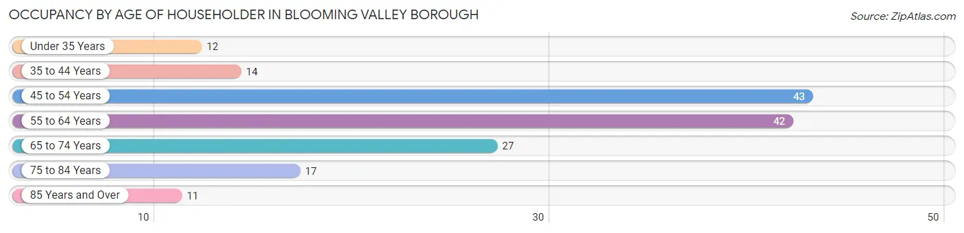 Occupancy by Age of Householder in Blooming Valley borough
