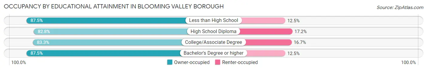 Occupancy by Educational Attainment in Blooming Valley borough