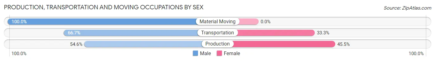 Production, Transportation and Moving Occupations by Sex in Blooming Valley borough