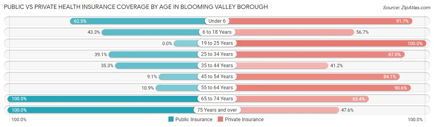 Public vs Private Health Insurance Coverage by Age in Blooming Valley borough