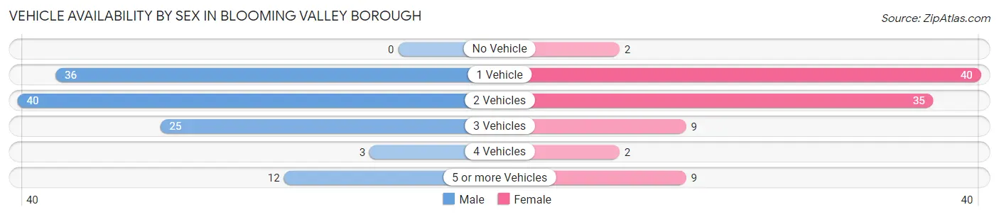 Vehicle Availability by Sex in Blooming Valley borough