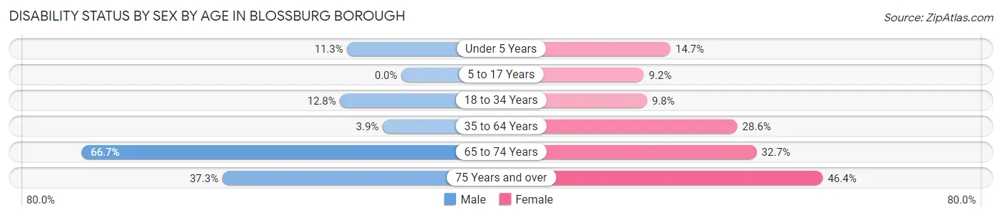 Disability Status by Sex by Age in Blossburg borough