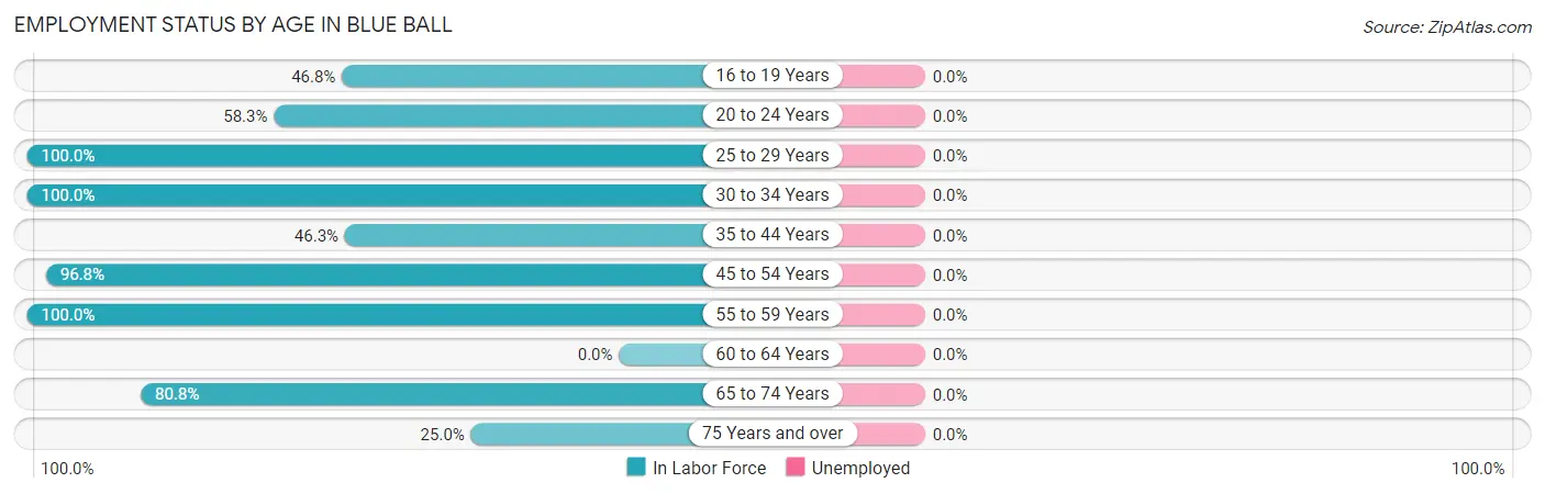Employment Status by Age in Blue Ball