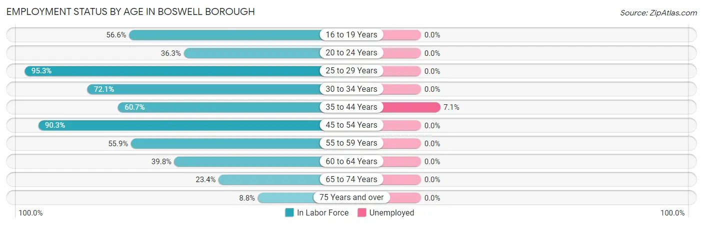 Employment Status by Age in Boswell borough