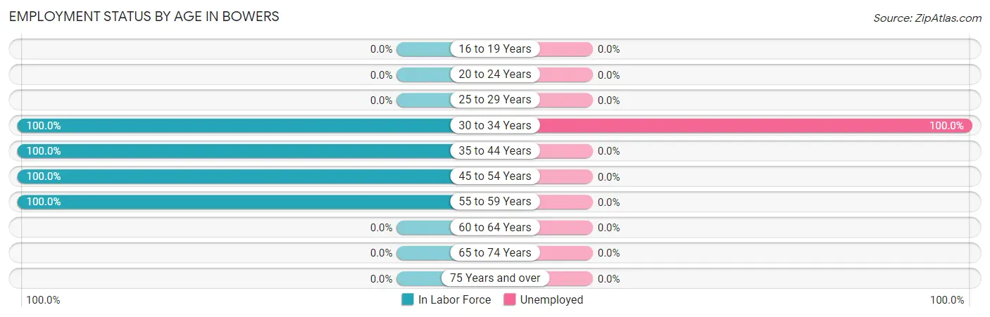 Employment Status by Age in Bowers