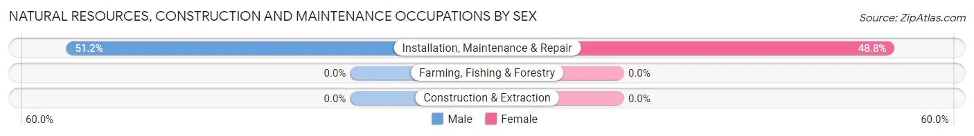 Natural Resources, Construction and Maintenance Occupations by Sex in Bowers