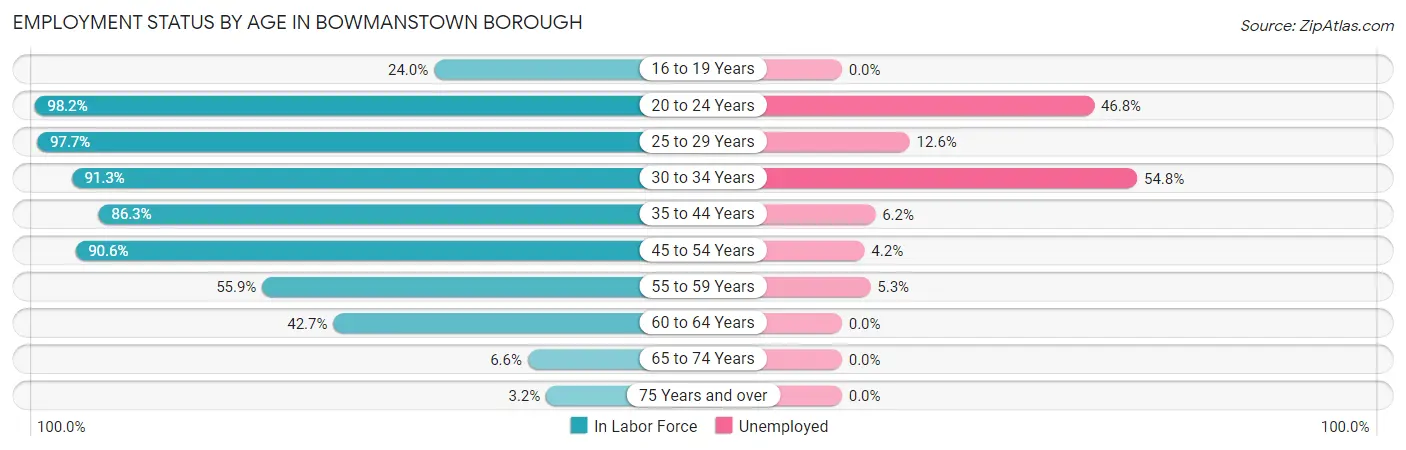 Employment Status by Age in Bowmanstown borough