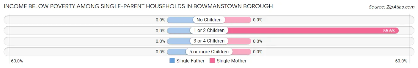 Income Below Poverty Among Single-Parent Households in Bowmanstown borough