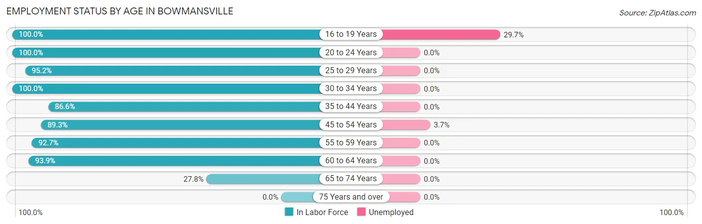 Employment Status by Age in Bowmansville