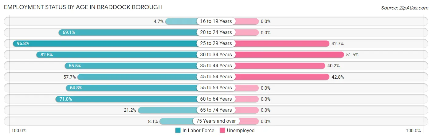 Employment Status by Age in Braddock borough