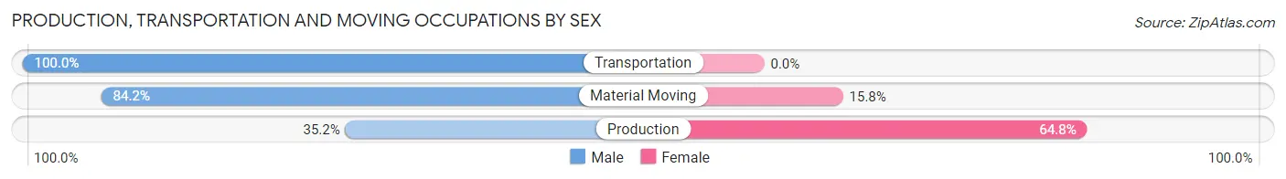 Production, Transportation and Moving Occupations by Sex in Braddock borough