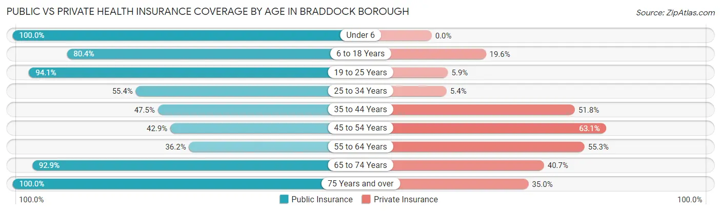 Public vs Private Health Insurance Coverage by Age in Braddock borough