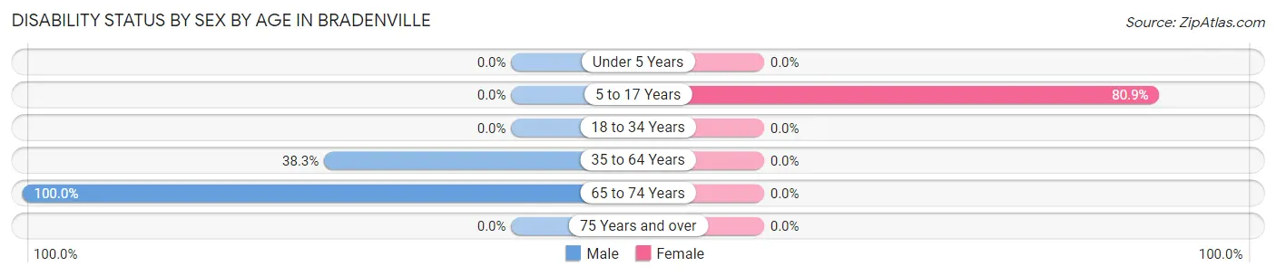 Disability Status by Sex by Age in Bradenville