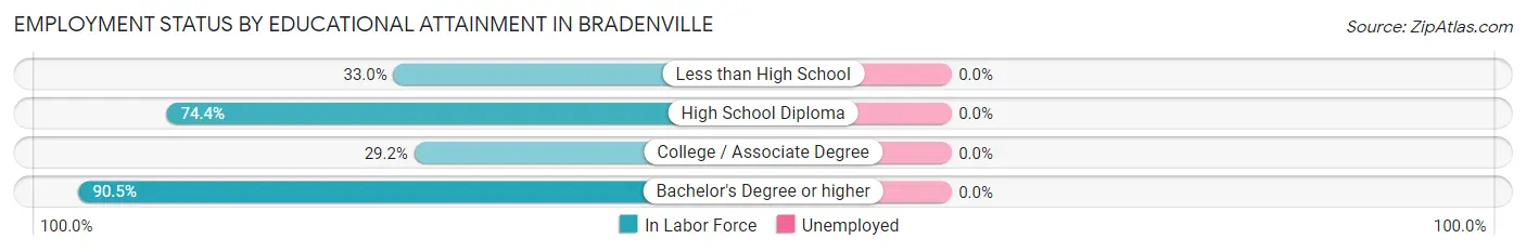 Employment Status by Educational Attainment in Bradenville