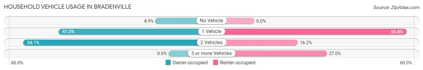 Household Vehicle Usage in Bradenville