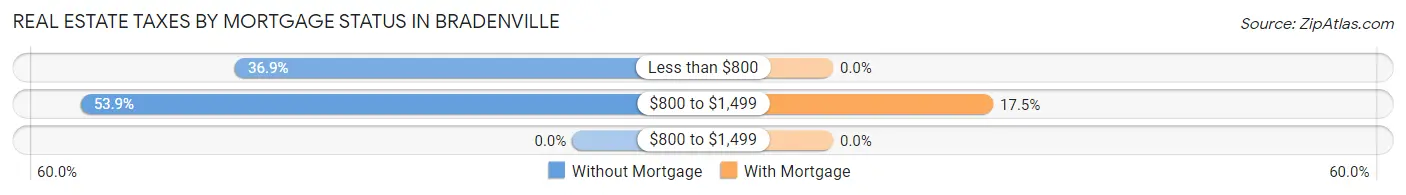 Real Estate Taxes by Mortgage Status in Bradenville