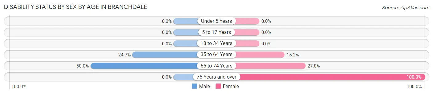 Disability Status by Sex by Age in Branchdale