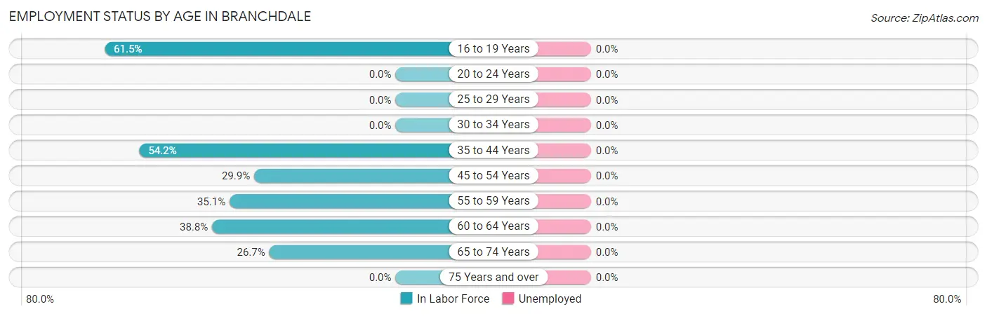 Employment Status by Age in Branchdale
