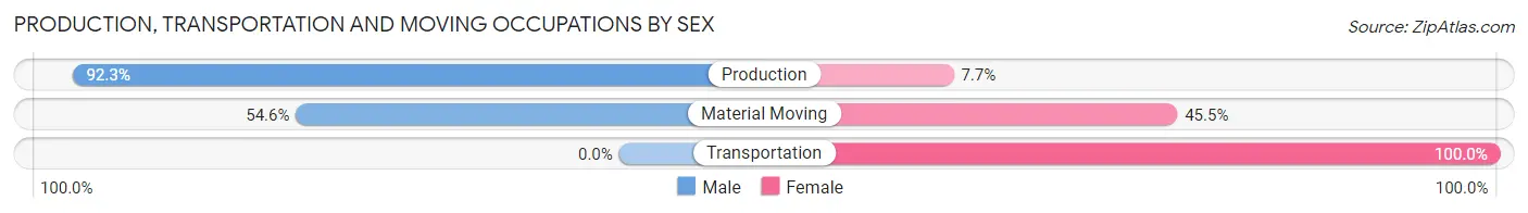 Production, Transportation and Moving Occupations by Sex in Branchdale