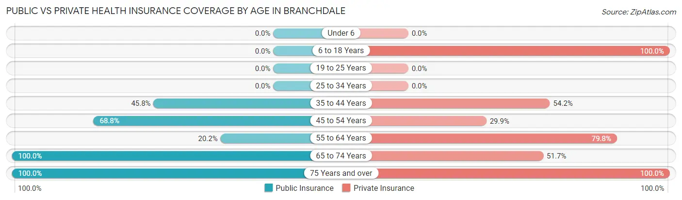Public vs Private Health Insurance Coverage by Age in Branchdale