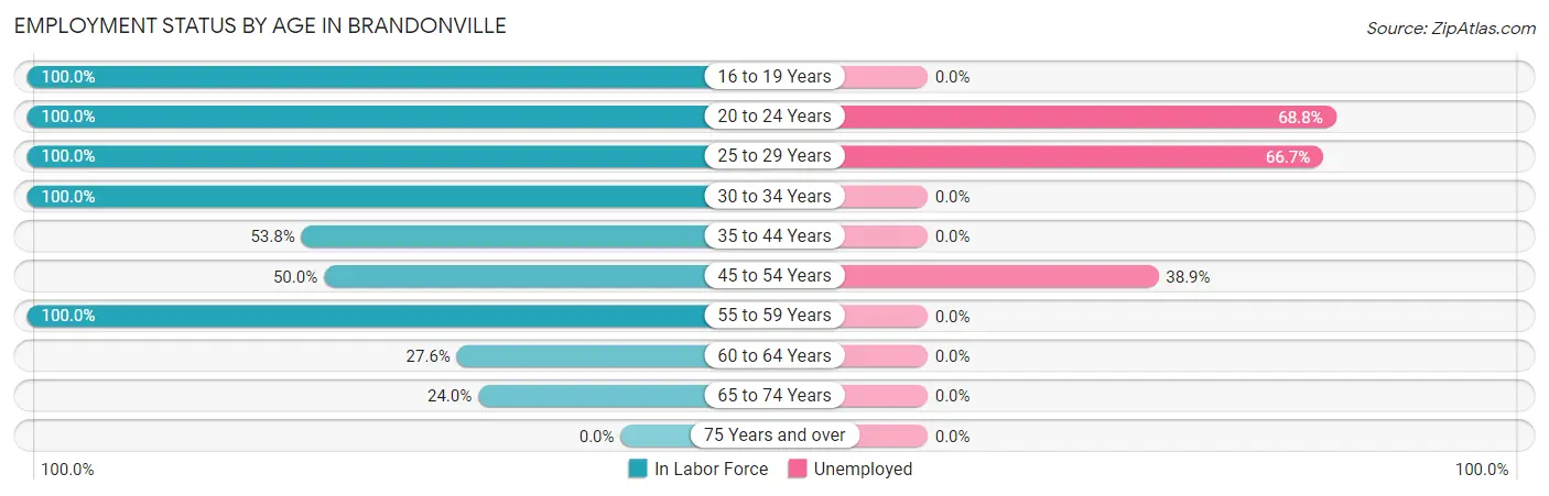 Employment Status by Age in Brandonville