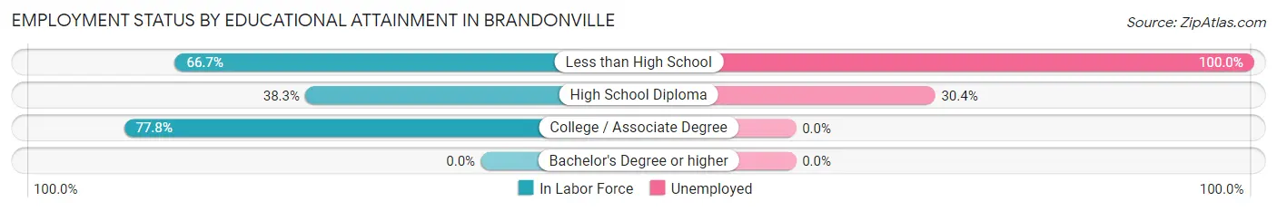 Employment Status by Educational Attainment in Brandonville