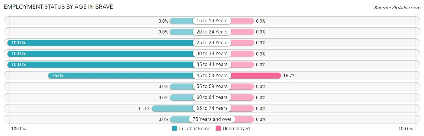 Employment Status by Age in Brave