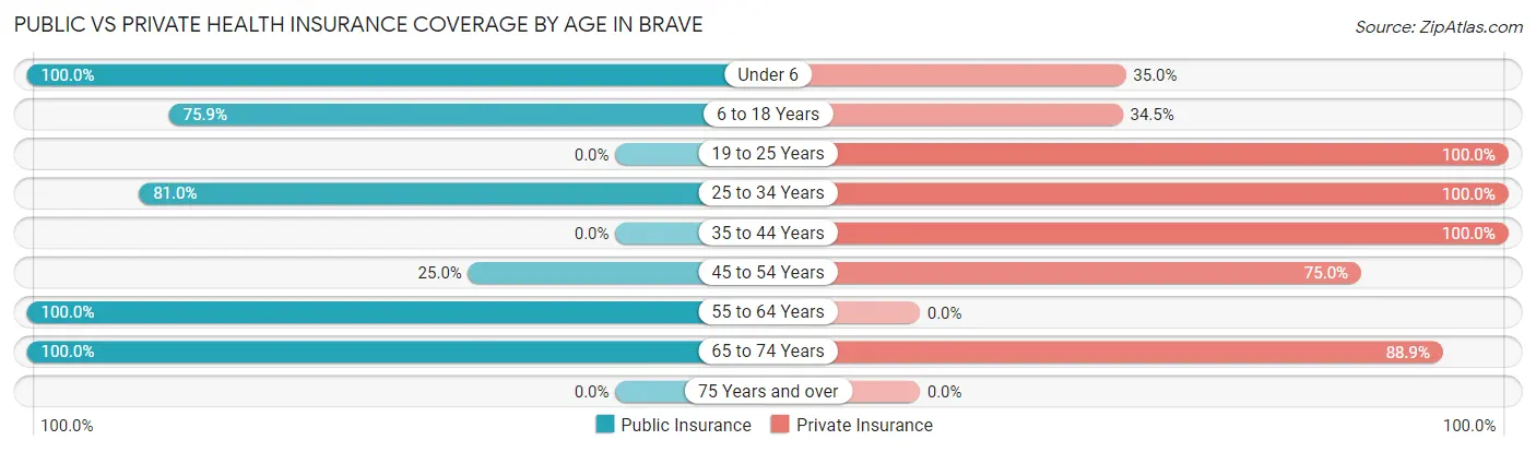 Public vs Private Health Insurance Coverage by Age in Brave