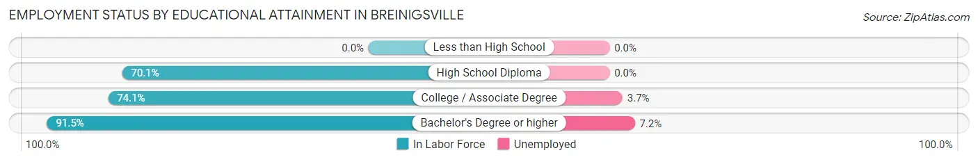 Employment Status by Educational Attainment in Breinigsville