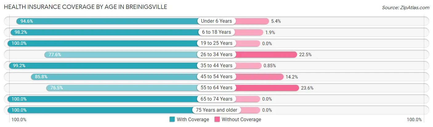 Health Insurance Coverage by Age in Breinigsville