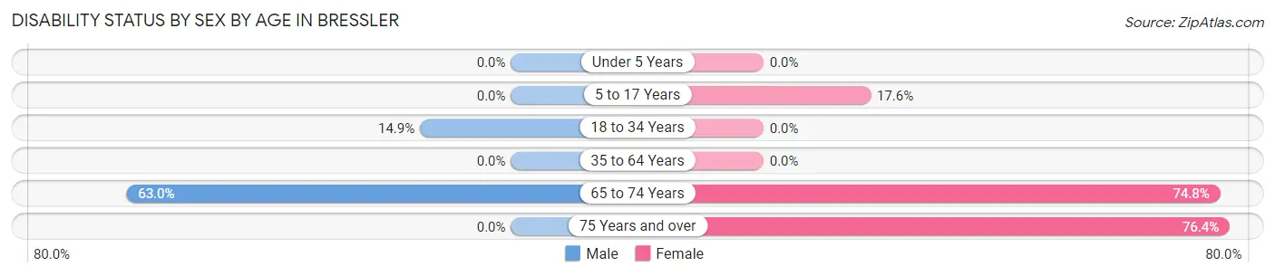 Disability Status by Sex by Age in Bressler