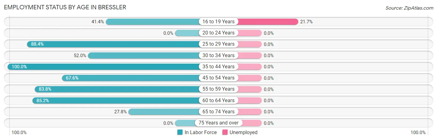 Employment Status by Age in Bressler