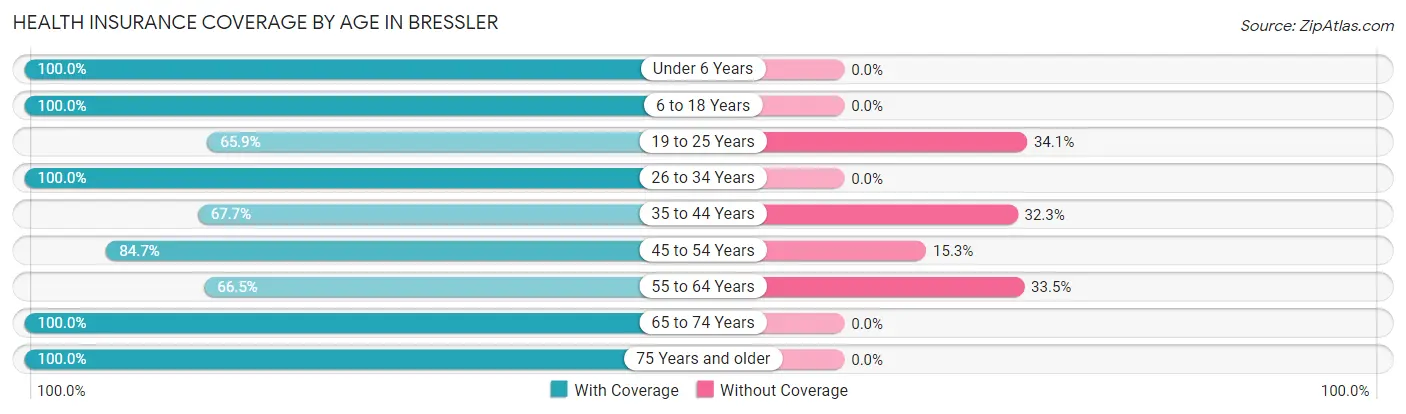 Health Insurance Coverage by Age in Bressler