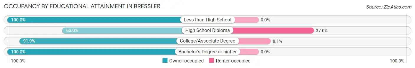 Occupancy by Educational Attainment in Bressler