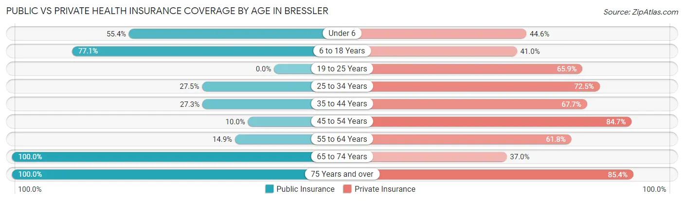 Public vs Private Health Insurance Coverage by Age in Bressler