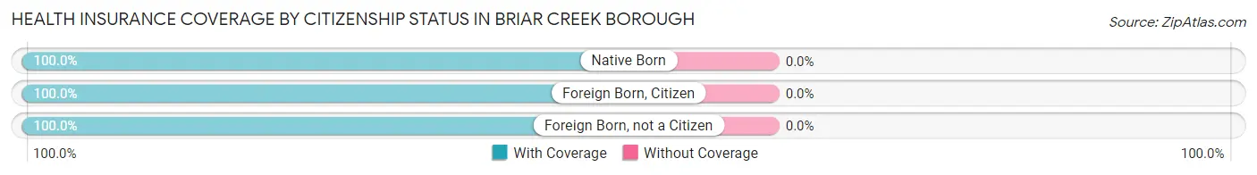 Health Insurance Coverage by Citizenship Status in Briar Creek borough