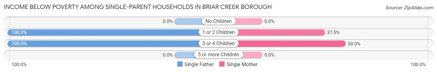 Income Below Poverty Among Single-Parent Households in Briar Creek borough