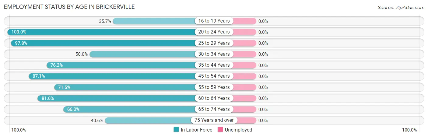 Employment Status by Age in Brickerville