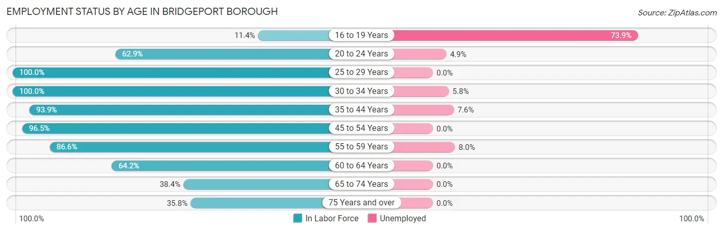 Employment Status by Age in Bridgeport borough