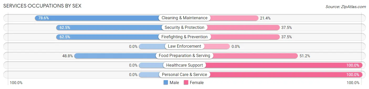 Services Occupations by Sex in Bridgewater borough