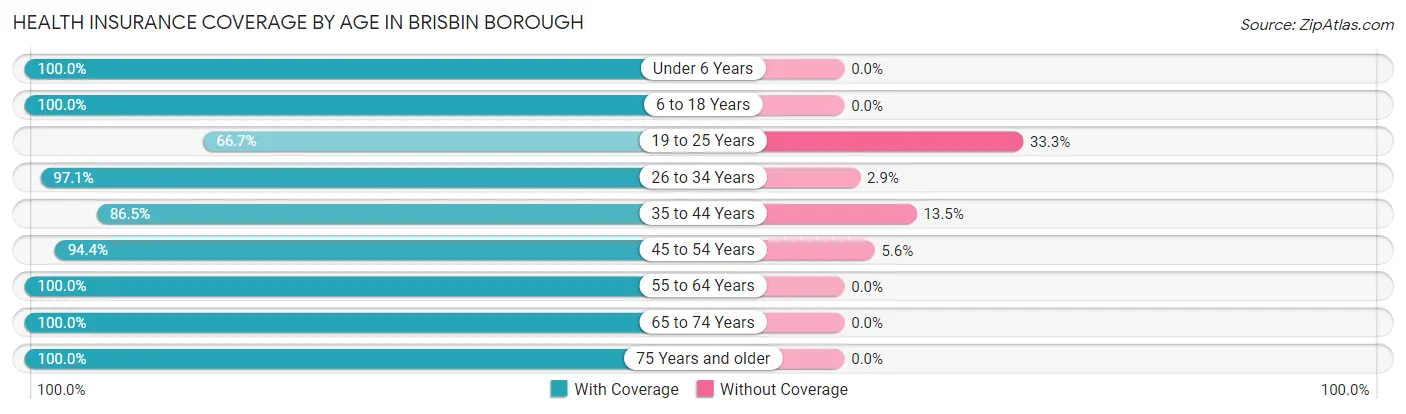 Health Insurance Coverage by Age in Brisbin borough
