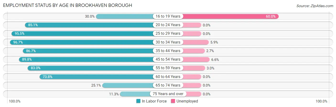 Employment Status by Age in Brookhaven borough