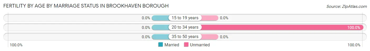Female Fertility by Age by Marriage Status in Brookhaven borough