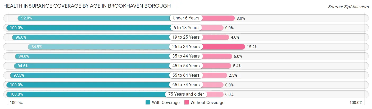 Health Insurance Coverage by Age in Brookhaven borough