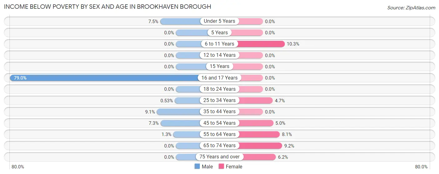 Income Below Poverty by Sex and Age in Brookhaven borough