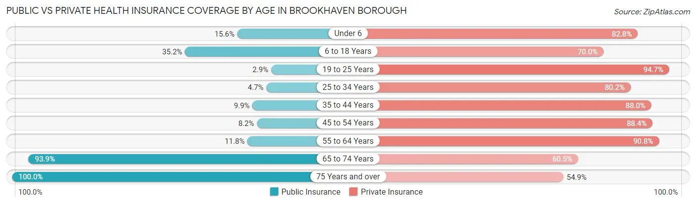 Public vs Private Health Insurance Coverage by Age in Brookhaven borough