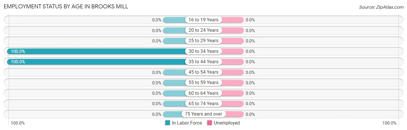 Employment Status by Age in Brooks Mill