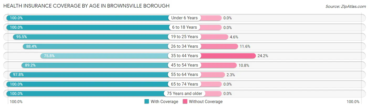 Health Insurance Coverage by Age in Brownsville borough