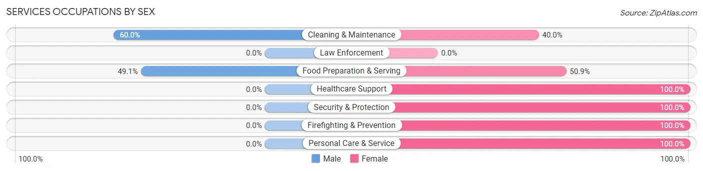 Services Occupations by Sex in Brownsville borough