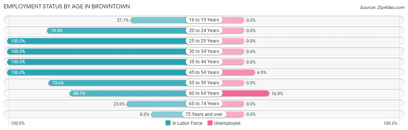 Employment Status by Age in Browntown
